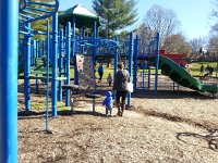 24 November Friday Drive